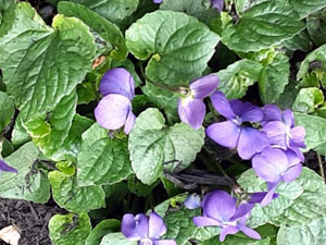 04-27