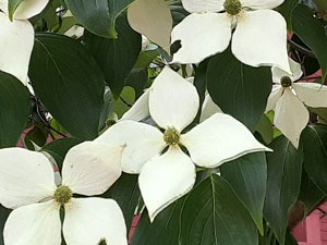06-22
