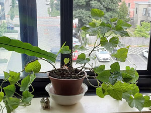 07-21